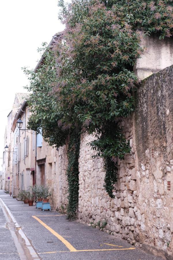 Gite Le Petit Ecolier Lectoure Exterior photo